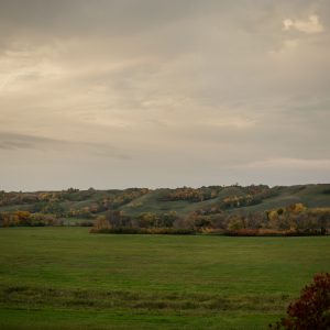 Rolling green hills and trees with orange leaves in the Qu'Appelle Valley, Saskatchewan, Canada.