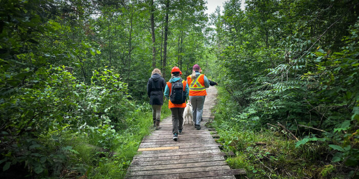 Three trail volunteers walking along a wooden trail