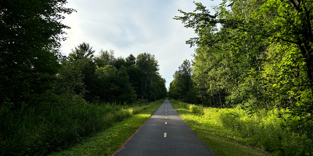 A paved road meanders through a lush landscape, bordered by vibrant trees and green grass on either side. Une route pavée serpente à travers un paysage luxuriant, bordé d'arbres vibrants et d'herbe verte de chaque côté.