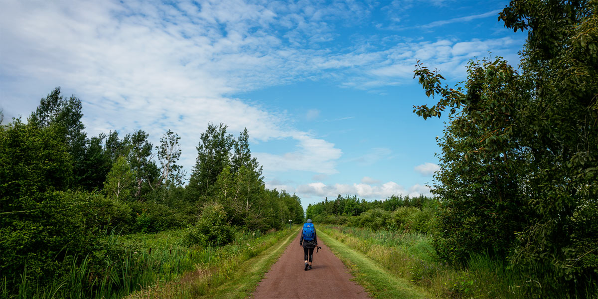 A person walks along a dirt path in Prince Edward Island, enjoying the scenic beauty of the island walk. Une personne marche le long d’un sentier de terre sur l’Île-du-Prince-Édouard, profitant de la beauté pittoresque du paysage insulaire.