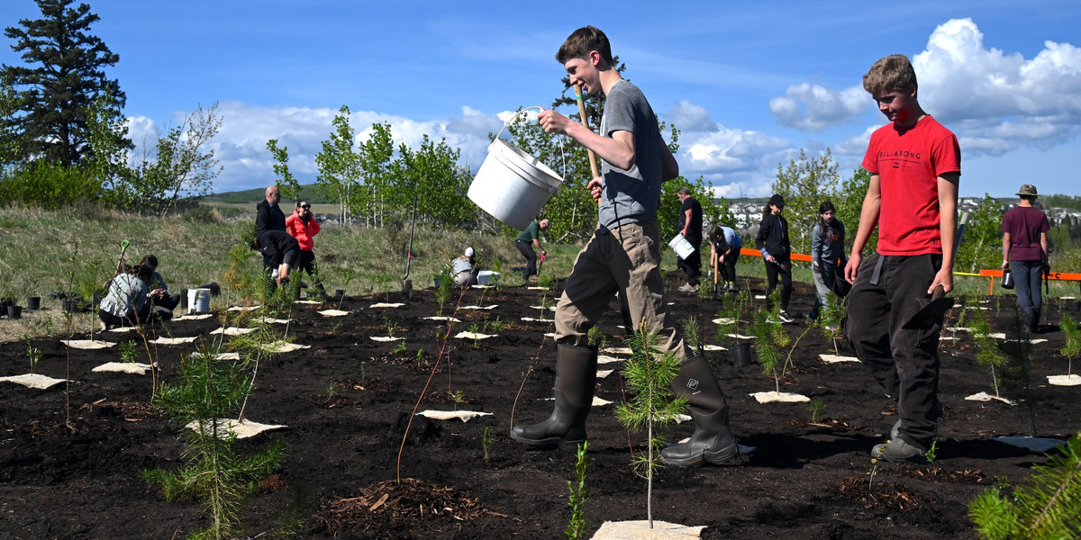 00Feature image_SF107127_Planting-for-Tomorow-Program-Cochrane-AB_Youth Volunteers_credit-Val-and-Don-Campbell_Web_StoryFeatured_Image_1200x600 1 | Trans Canada Trail boys carrying buckets in a tree planting area on a sunny day