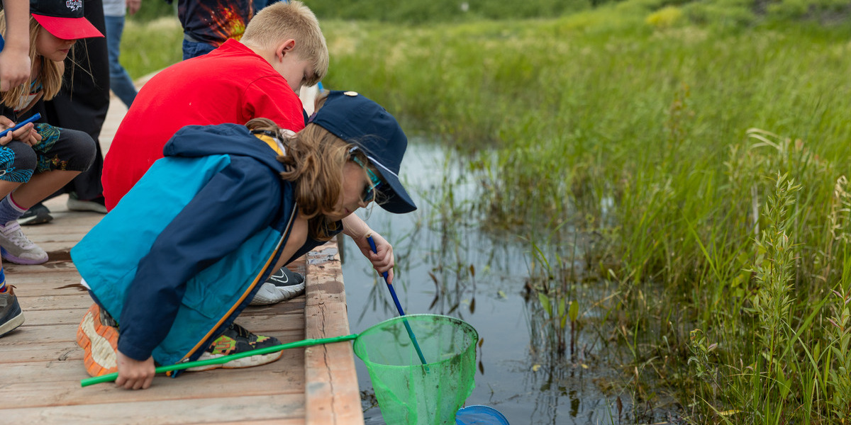 kids playing with nets on a pond standing on a dock