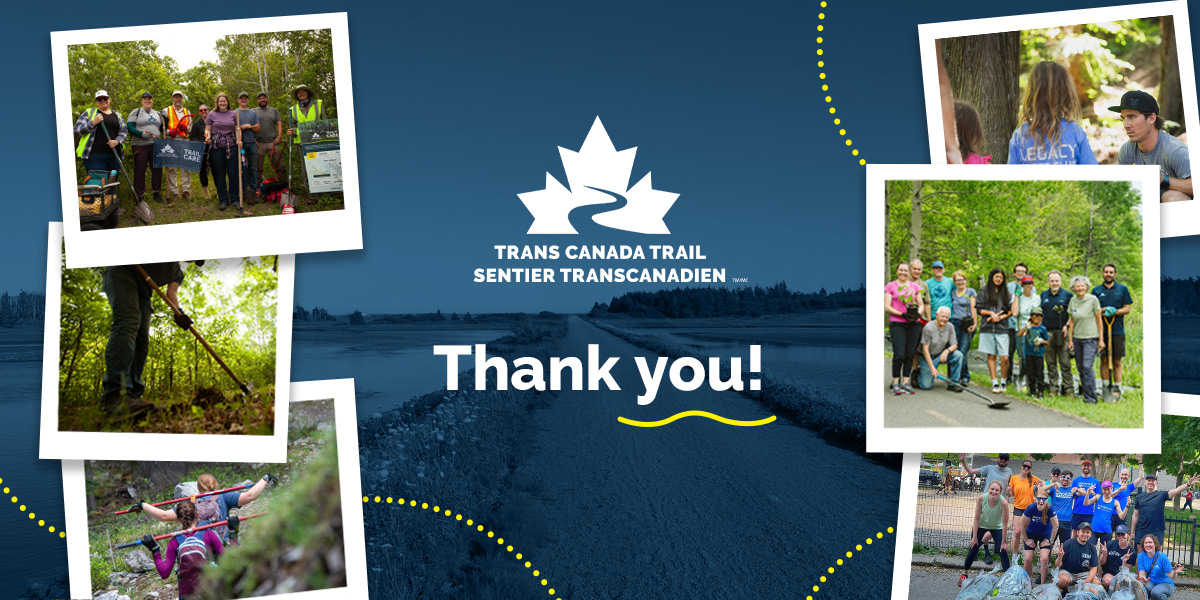 photo of montage of images with text reading "thank you!"