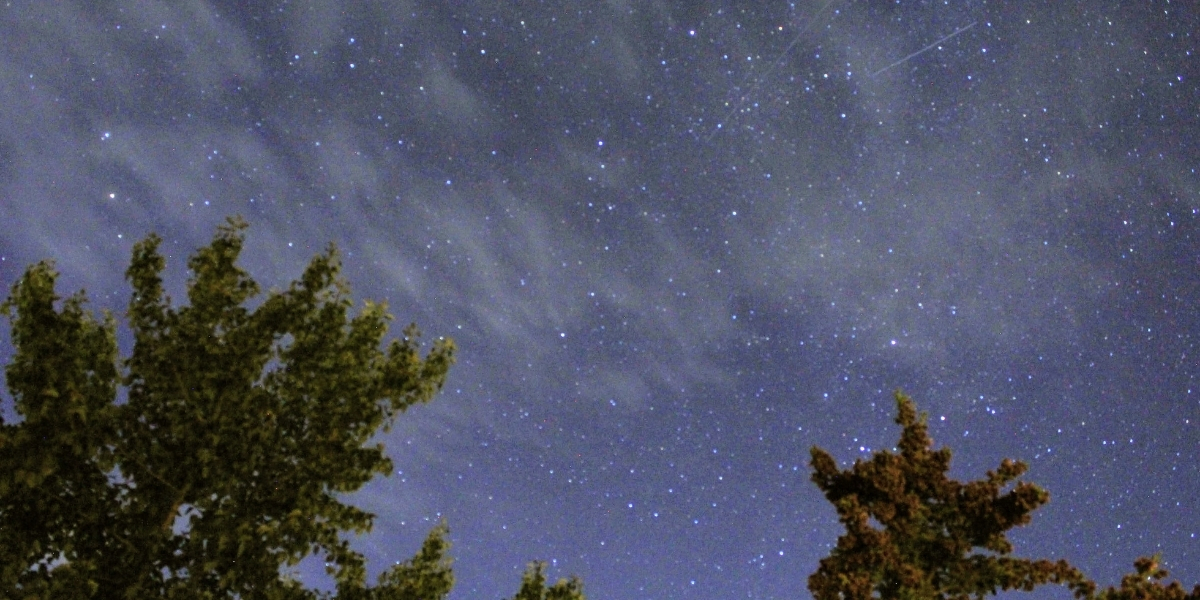starry night from below with clouds and pine trees shadowing