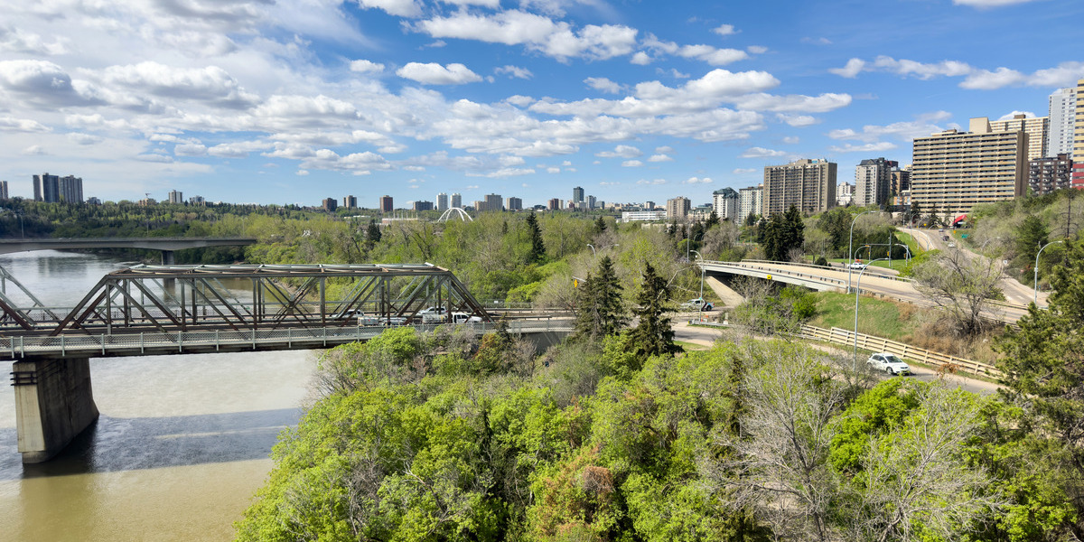 A city scape including a bridge and a group of green, leafy trees in the foreground