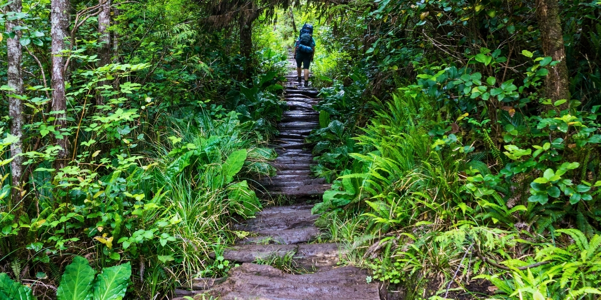 person walking on rocky trail on rainy day