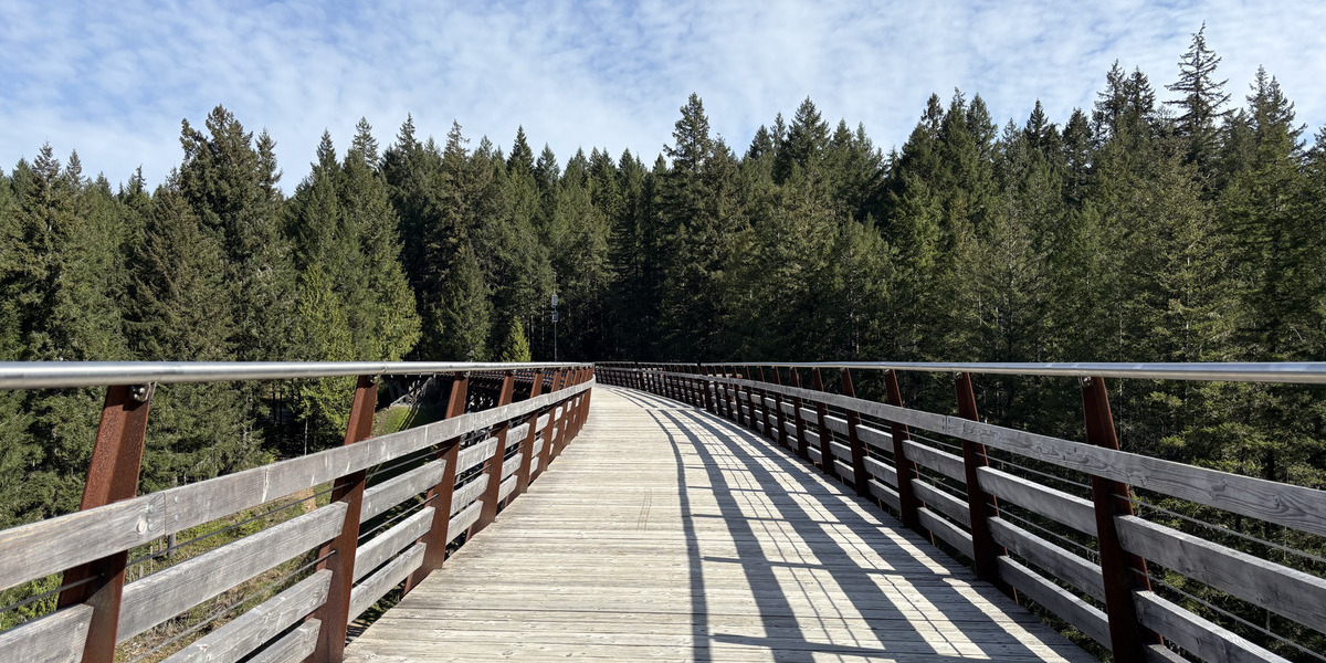 long wooden pedestrian bridge leading into a forest